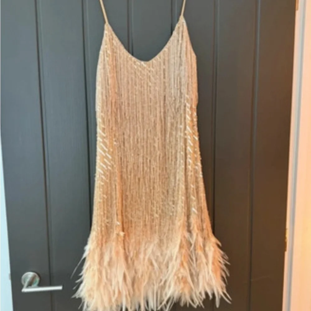 NADINE MERABI LOTTIE Champagne Mini Dress sequins feather - Picture 3 of 10